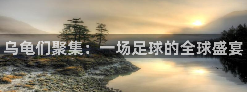 2026世界杯亚洲区预选赛:乌龟们聚集:一场足球的全球盛宴
