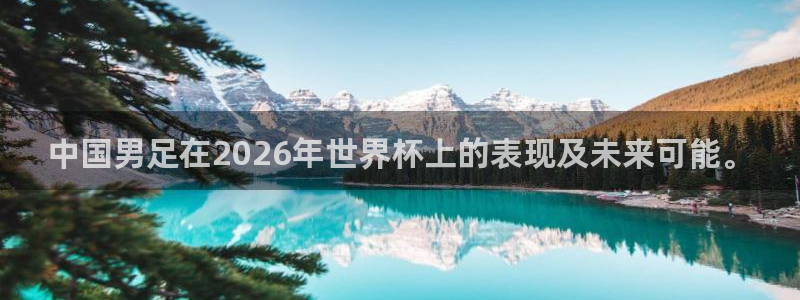世界杯亚洲区预选赛:中国男足在2026年世界杯上的表现及未来可能。