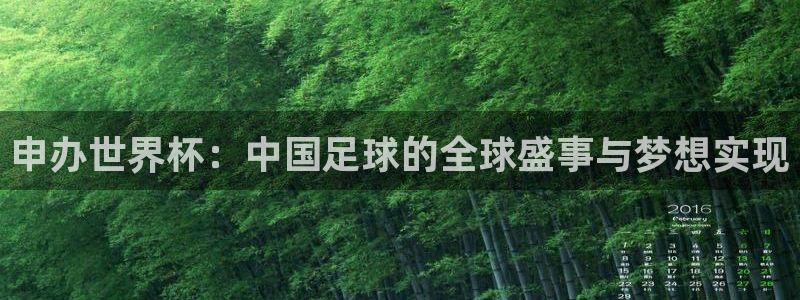 世界杯2026赛程时间表格:申办世界杯:中国足球的全球盛事与梦想实现