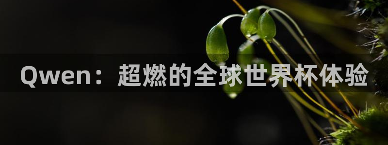 世界杯时间:Qwen:超燃的全球世界杯体验