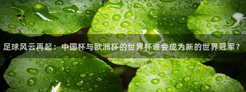 2026世界杯欧洲预选赛赛程表:足球风云再起:中国杯与欧洲杯的世界杯谁会成为新的世界冠军?