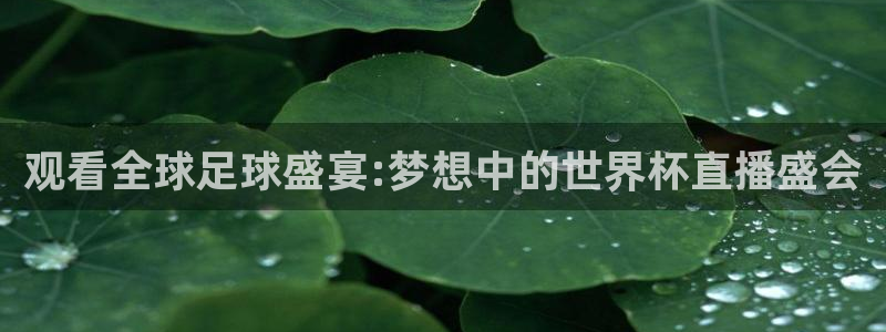 世界杯足球2026:观看全球足球盛宴:梦想中的世界杯直播盛会